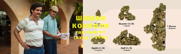 стафф Белокуриха