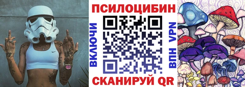 ссылка на мегу как зайти  Бирюсинск  Псилоцибиновые грибы ЛСД  как найти закладки 
